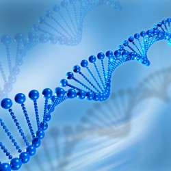 Biology, Evolution, and the Universe Biology, Evolution, and the Universe