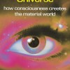 The Self-Aware Universe: How Consciousness Creates the Material World