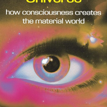 The Self-Aware Universe: How Consciousness Creates the Material World