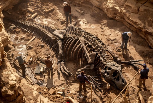 How Fractalism Reconciles Myth and Fossils