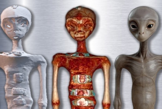 The Tridactyl Enigma: From Debunked Hoax to Anatomical Mystery