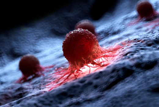 Cells, Consciousness, and the Shadow of Cancer