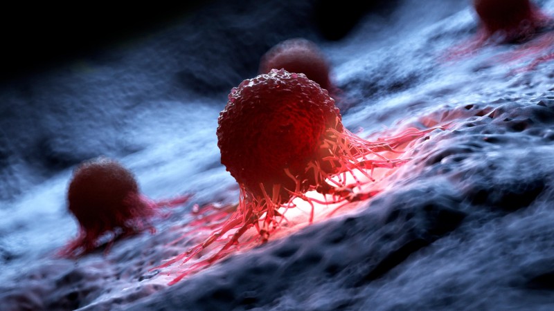 Cells, Consciousness, and the Shadow of Cancer