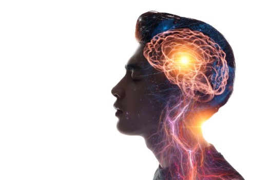 The Virtual Reality of the Mind: How Our Brains Construct Reality