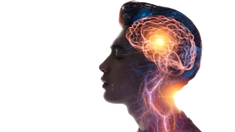 The Virtual Reality of the Mind: How Our Brains Construct Reality