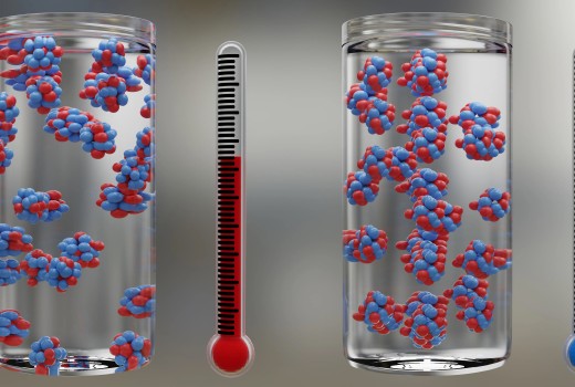 Entropy: The Harmonizer of the Universe